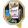 Sheba Sauce Collection Cat Vaschetta Multipack 22x85G SALMONE