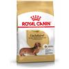 Royal Canin Bassotto Adult Alimento Completo per Cani di Razza Adulti e Maturi Oltre 10 Mesi di Età 1.5KG