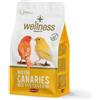 PADOVAN Wellness Mix Canarini 1KG