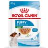 Royal Canin Mini Puppy Busta Multipack 24x85G CARNI E DERIVATI