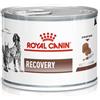 Royal Canin V-Diet Recovery Cane e Gatto 195G