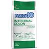 Forza10 Cat Intestinal Colon 2KG