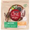 Purina One Cane Active Mini Pollo e Riso 1.5KG