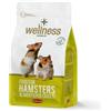 Padovan Wellness Mangime per Criceti 1KG