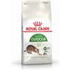 Royal Canin Cat Active Life Outdoor Alimento completo secco per gatti adulti 2KG