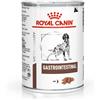 Royal Canin V-diet Gastrointestinal Alimento dietetico completo per cani adulti 400G