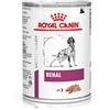 Royal Canin V-Diet Renal Cane Umido 410G