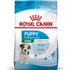 Royal Canin Mini Puppy Alimento completo per cuccioli di taglia piccola Fino a 10 mesi di età 800G