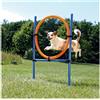 TRIXIE Gioco Anello Agility per Cane CM.115X3X65