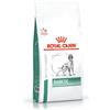 Royal Canin V-Diet Diabetic Cane 1.5KG