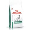 Royal Canin V-Diet Diabetic Cane 12KG