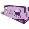 Morando Miglior Gatto Unico Busta Multipack 24x85G AGNELLO