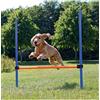 TRIXIE Gioco Ostacolo Agility per Cane 1 PZ