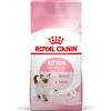 Royal Canin Kitten Alimento completo per gattini fino a 12 mesi di età 2KG