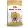 Royal Canin Bulldog Francese Adult 1.5KG