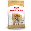 Royal Canin Bulldog Adult Alimento completo per cani di razza adulti e maturi oltre 12 mesi di età 12KG