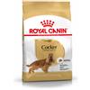 Royal Canin Cocker Adult Alimento Completo per Cani di Razza Adulti e Maturi Oltre 12 Mesi di Età 3KG