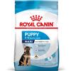 Royal Canin Maxi Puppy Alimento completo per cuccioli di taglia grande Fino a 15 mesi di età 4KG