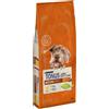 DOG CHOW Purina Dog Chow Mature Adult Pollo 14KG