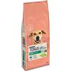 DOG CHOW Purina Dog Chow Light Tacchino 14KG