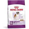 Royal Canin Giant Adult Alimento Secco Completo per Cani Adulti di Taglia Gigante 15KG