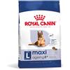 Royal Canin Maxi Ageing 8+ Alimento Secco Completo per Cani Anziani di Taglia Grande 15KG