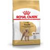 Royal Canin Barboncino Adult Alimento Completo per Cani di Razza Adulti e Maturi Oltre 10 Mesi di Età 1.5KG