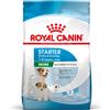 Royal Canin Mini Starter M&B Alimento completo per cagne di taglia piccola fino a 10 kg ed cuccioli in svezzamento fino a 2 mesi di età 1KG