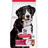 HILLS Hill's Science Plan Dog Large Adult con Agnello e Riso 14KG