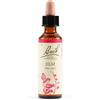 Schwabe Pharma Italia Srl Fiori di Bach N. 11 Elm flacone da 20ml