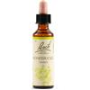 Schwabe Pharma Italia Srl Fiori di Bach N. 16 Honeysuckle flacone da 20ml