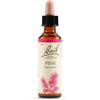 Schwabe Pharma Italia Srl Fiori di Bach N. 24 Pine flacone da 20ml