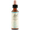 Schwabe Pharma Italia Srl Fiori di Bach N. 31 Vervain flacone da 20ml