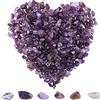 SUNNYCLUE 400 PCS Améthyste Chips Perles 5-8mm Long Améthyste Cristal Chips avec Trous Irrégulier Patatine Pierre Perles Gemme Semi Précieuse pour DIY Fabrication de Bijoux Bracelet Collier