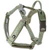 Hurtta Razzle-Dazzle - Pettorina imbottita per cani, 100% poliestere riciclato, 45-55 cm, colore: Verde