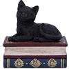 Nemesis Now Salems Spells Witches Familiar Black Cat e Libro degli incantesimi, 11,7 cm
