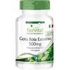 Fairvital | Estratto di Gotu Kola 500mg - Centella Asiatica - vegan - 120 capsule