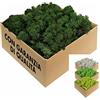 GJS Muschio stabilizzato - vero muschio decorativo naturale vivo conservato (finto lichene slandese) - colorato in modo diverso - per decorazioni, modellismo, terrario, parete (4kg, verde scuro)