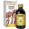 Dr. Giorgini GEMMO 10+ TAMERICE 100 ML LIQUIDO ANALCOLICO