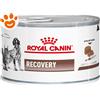 Royal Canin Dog e Cat Veterinary Diet Recovery - Lattina da 195 Gr