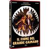 DYNIT Fiume Del Grande Caimano (Il) (Box Set) ( DVD)