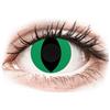 Gelflex CRAZY LENS - Cat Eye Green - giornaliere non correttive (2 lenti)