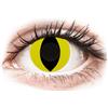 Gelflex CRAZY LENS - Cat Eye Yellow - giornaliere non correttive (2 lenti)