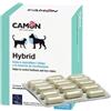 Orme Naturali Hybrid Controllo dell'alitosi e delle macchie da lacrimazione Compresse per cani e gatti 60 Compresse - Integratori per cani - 1° ORDINE? 20% di sconto SU BRAND ESCLUSIVI, codice BZR20