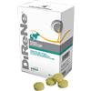 DRN Srl DIRENE 32 COMPRESSE