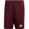 ADIDAS SQUADRA 21 PANTALONCINO UOMO BORDEAUX [29212]