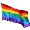 GOOGIT Bandiera Arcobaleno Pride 90 x 150 cm con 2 Occhielli in Metallo Tessuto Resistente allo Sbandieramento e Intemperie (Arcobaleno)
