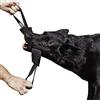 DINGO GEAR WWW.DINGOGEAR.COM 1977 Dingo Gear - Rimorchiatore in nylon per addestramento cani IGP & Fun, 2 maniglie, nero, 28 x 7 cm