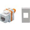 TechLy presa di rete RJ45 UTP Cat.6 tooless + Ave Banquise bianca
