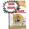 ROYAL CANIN CANE PUG CARLINO ADULT 1,5 KG